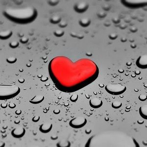 Meet your Posher, Estrella